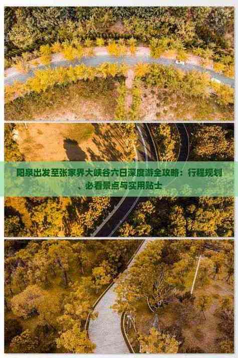 2025新澳门正版免费正题全部视频资讯和张家界溶洞被排污水与张家界溶洞被排污水淹没