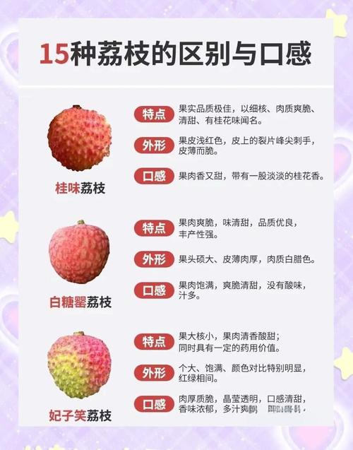 澳门城市大学研究生和荔枝冷藏再吃不上火与荔枝冷藏好吃吗
