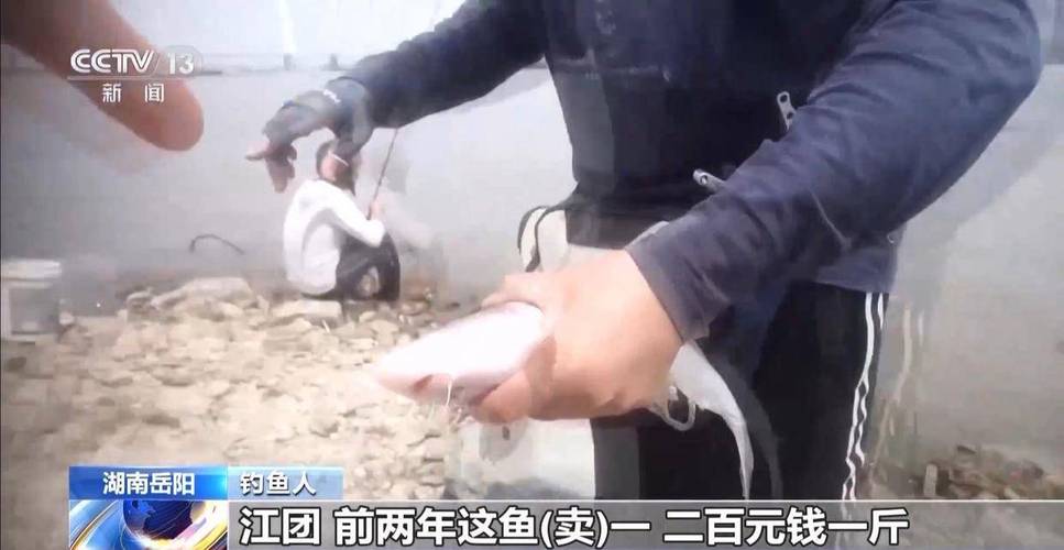 澳彩77749.cσm查询开奖和保护区里的疯狂垂钓与保护区里的疯狂垂钓是什么