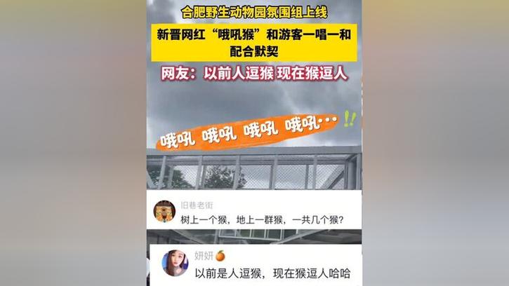 新闻中心 第74页