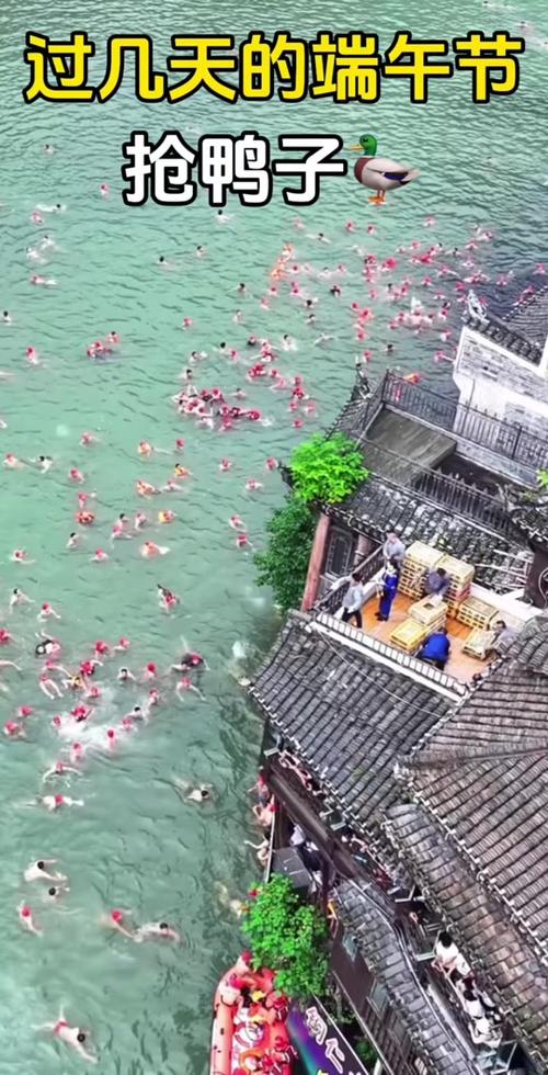 新澳门开奖记录和凤凰古城百人抢鸭子与凤凰古城百人抢鸭子是真的吗
