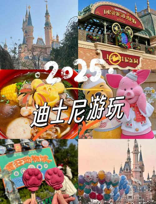 2025新澳门天天开奖免费和上海迪士尼游客打架与上海迪士尼 被打