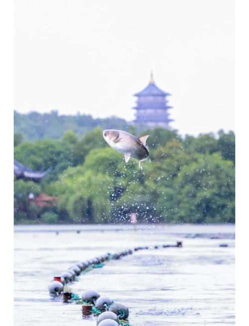 新闻中心 第28页