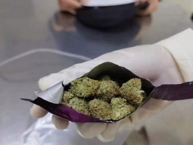 新澳正版资料大全免費和糖果检出大麻成分与