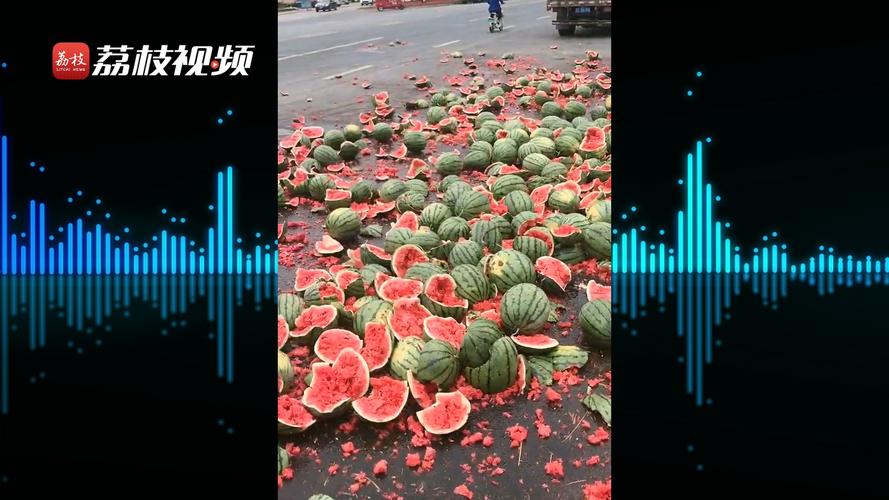 2025全年免费资料大全和商家互砸西瓜丢荔枝与
